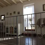 Portatenea - Atenea Collection