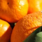 Portatenea - Atenea Collection Bed & Breakfast