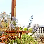 Portatenea - Atenea Collection