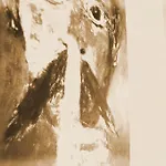 Bed & Breakfast Portatenea - Atenea Collection