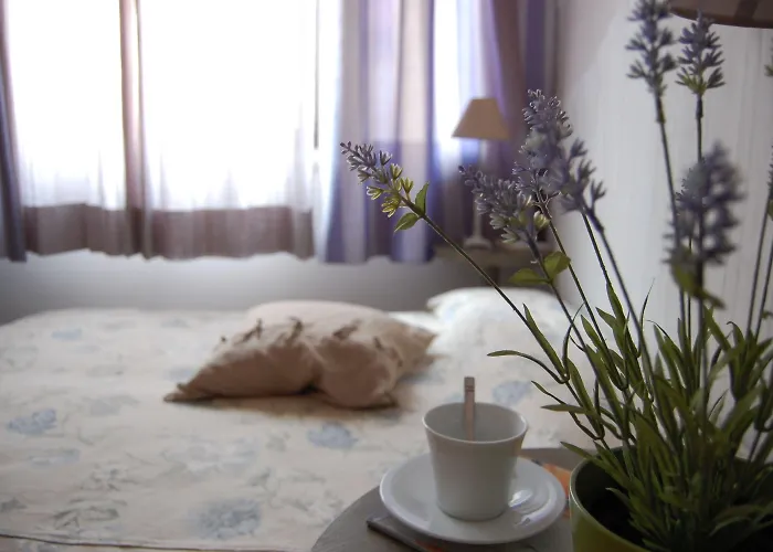 Couette-café Portatenea - Atenea Collection