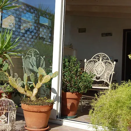 Portatenea - Atenea Collection 3*