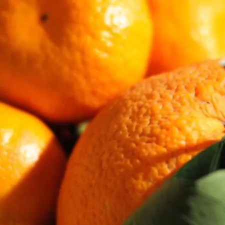 Portatenea - Atenea Collection Bed & Breakfast