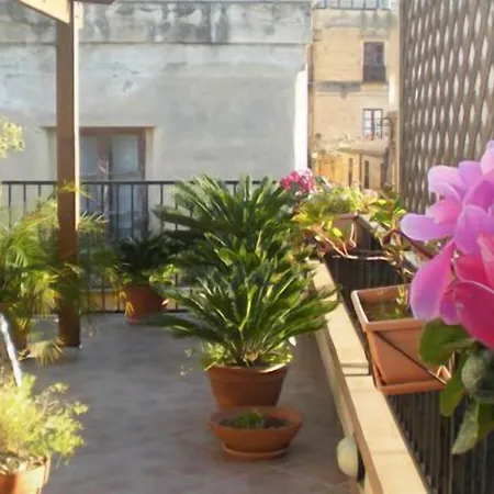 Portatenea - Atenea Collection