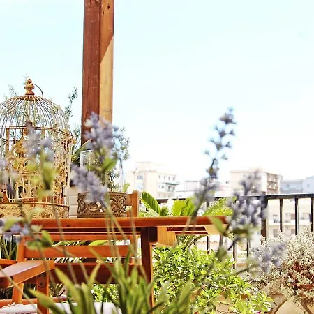 Portatenea - Atenea Collection