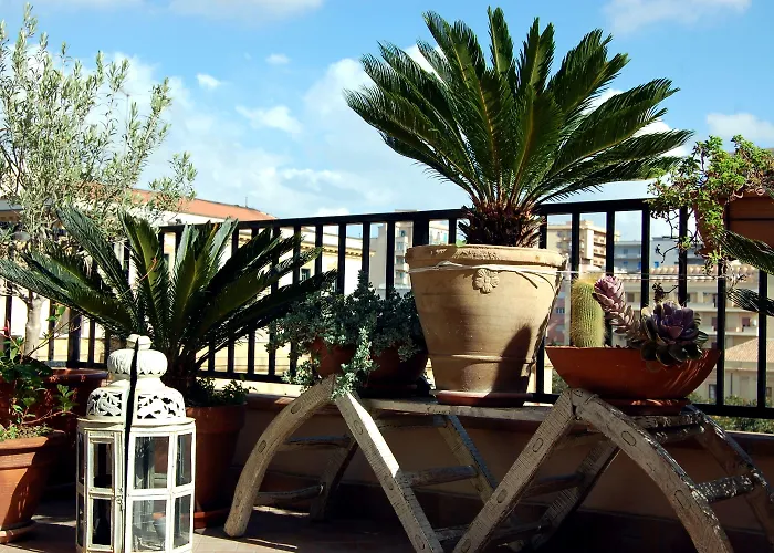 Portatenea - Atenea Collection