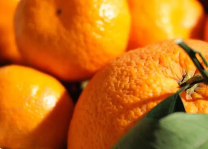 Portatenea - Atenea Collection Bed & Breakfast